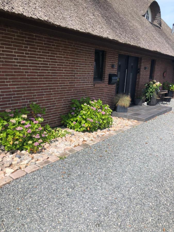 Appartements Unter Reet Tumlauer Koog 外观 照片